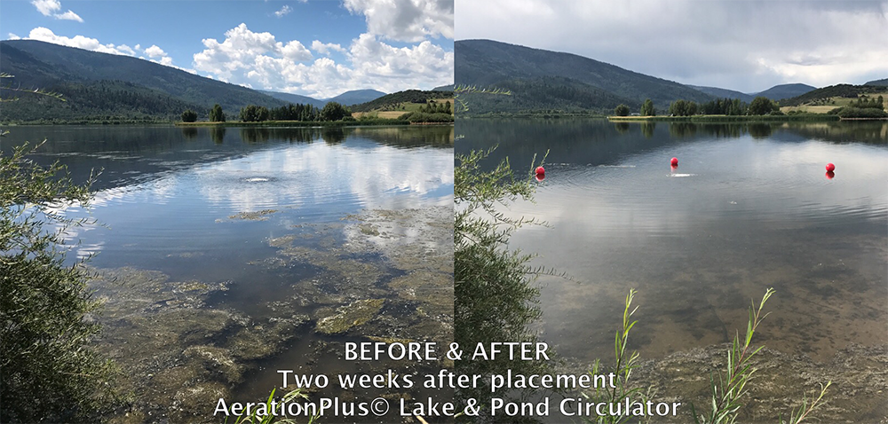 AerationPlus lake & pond circulator before and after images
