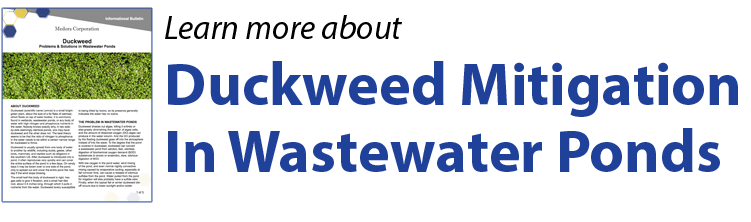 Button linking to an Informational Bulletin about Duckweed Mitigation in wastewater pond