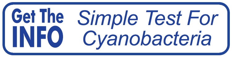 button for A Simple Cyanobacteria Test document