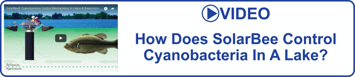 button Learn the cyanobacteria control mechanisms used by SolarBee® Lake Circulators!