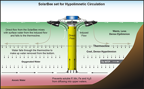 diagram showing how SolarBee equipment circulates the hypolimnion of a lake