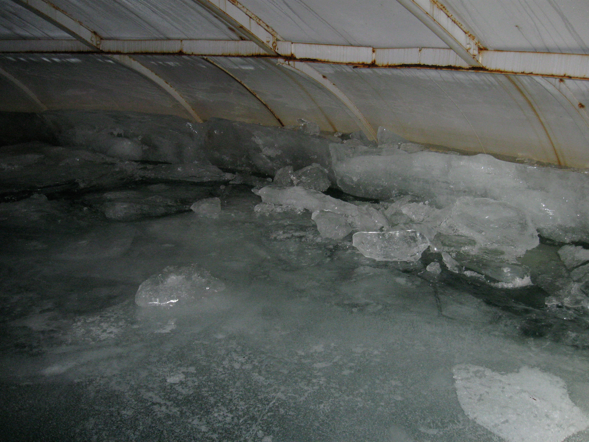 ice in potable water storage tank