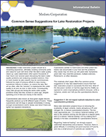 icon for Top 5 Common Sense Suggestions For Lake Restoration document