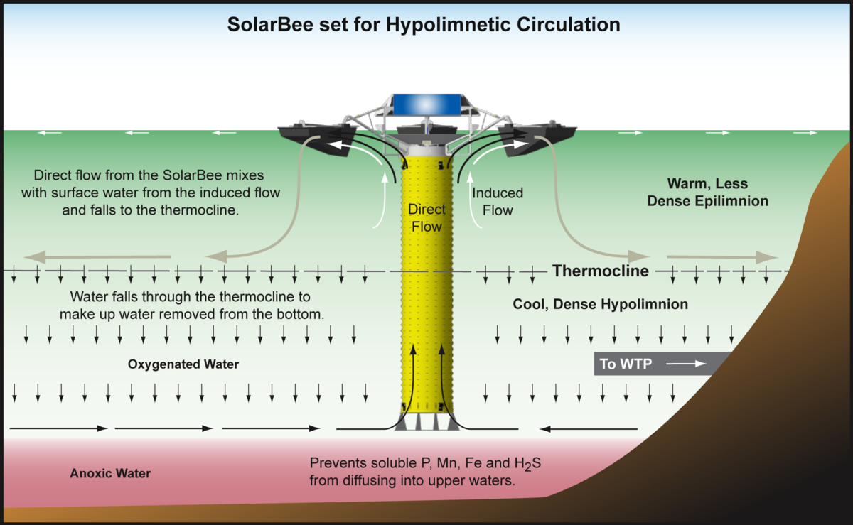 graphic showing how SolarBee lake circulators perform hypolimnetic withdrawal in a drinking water reservoir