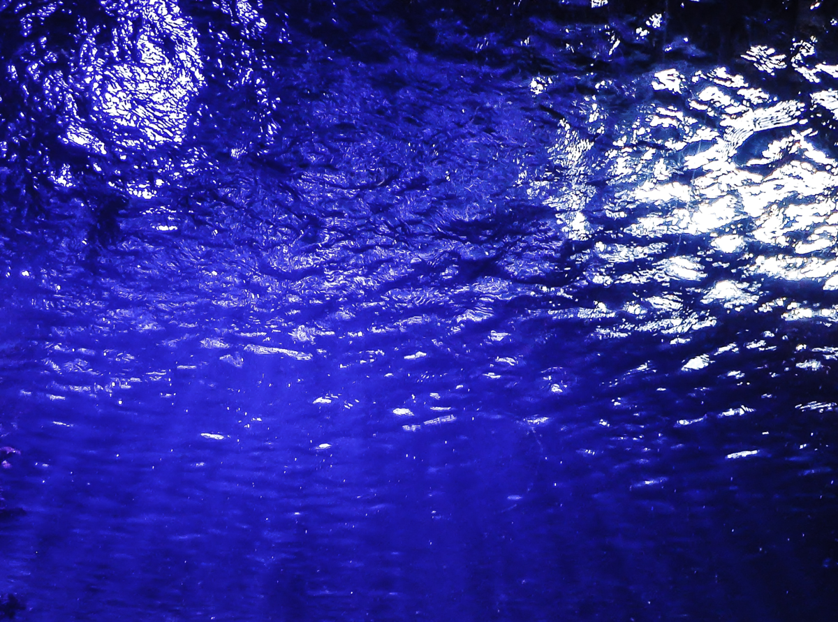 underwater image